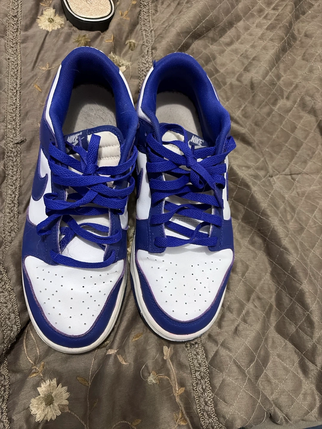 Nike Dunk Low Blue and White