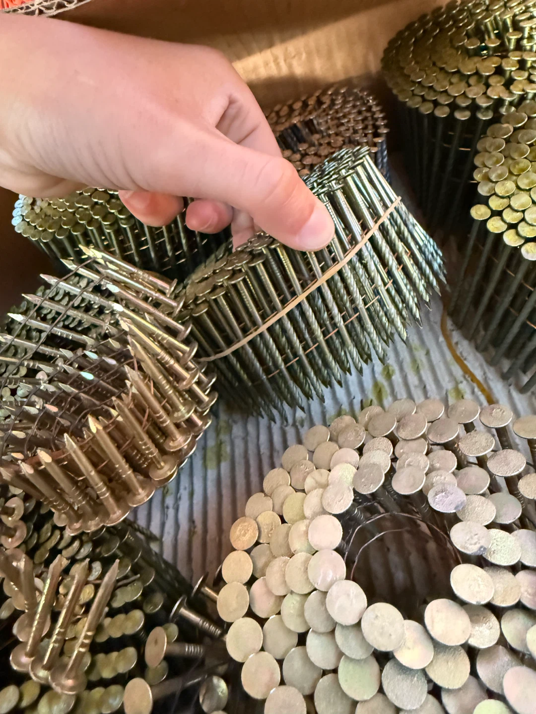 Coil nails - photo 5
