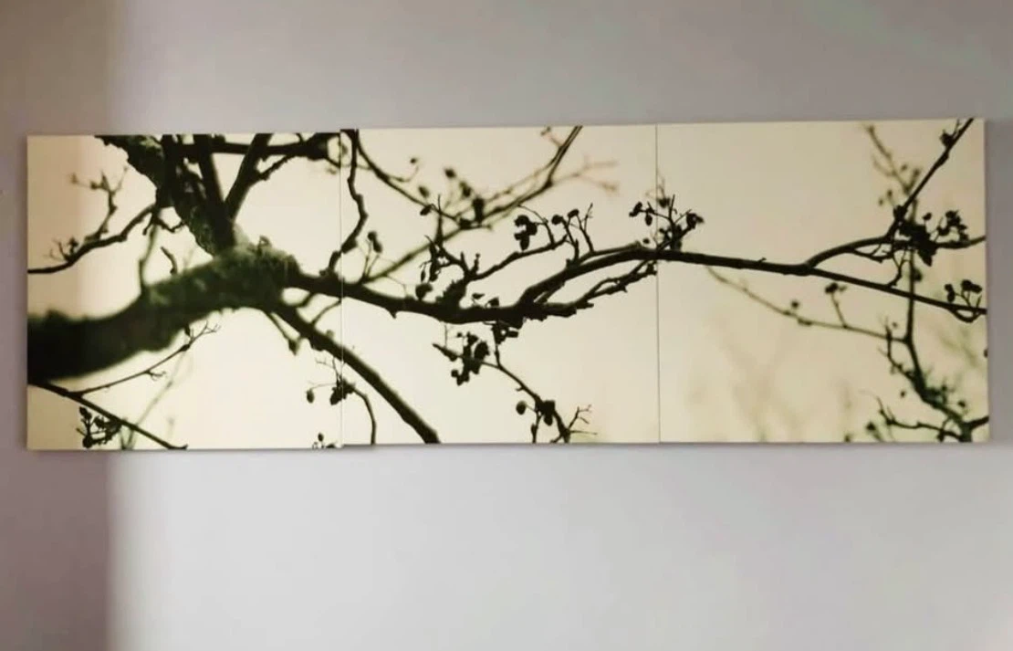 Urban Barn Tree Branch Wall Art