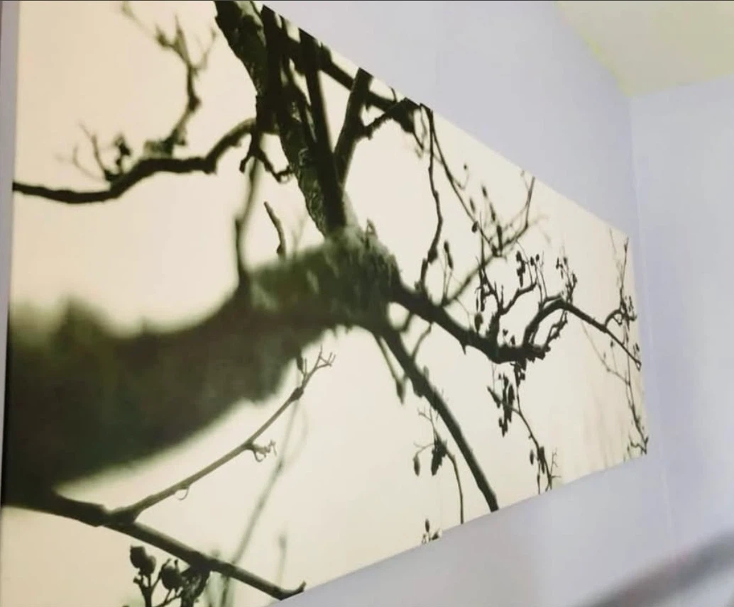 Urban Barn Tree Branch Wall Art - photo 2