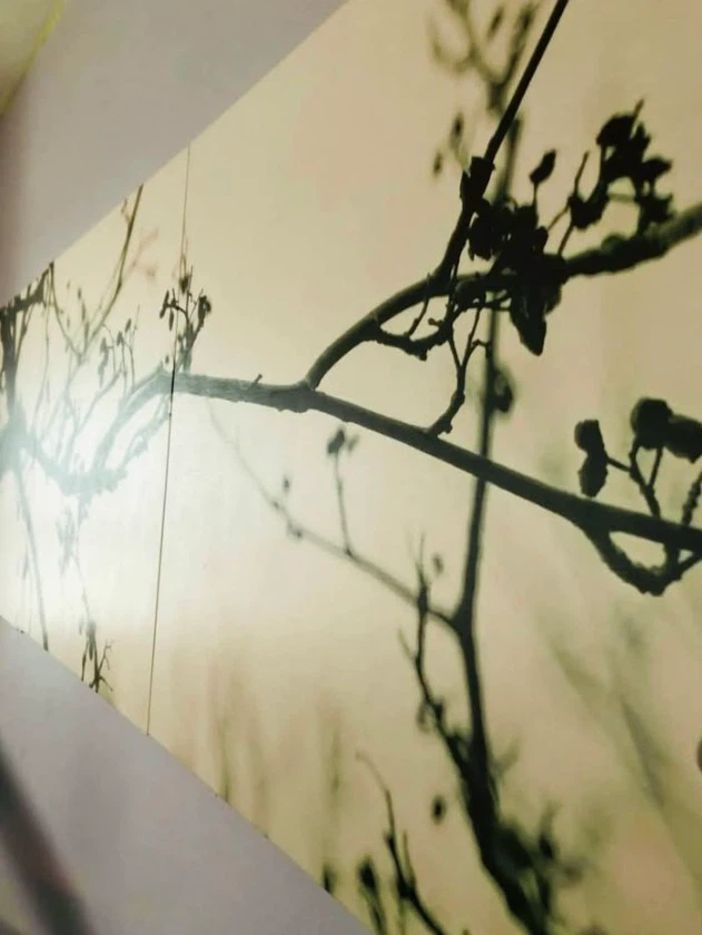 Urban Barn Tree Branch Wall Art - photo 3