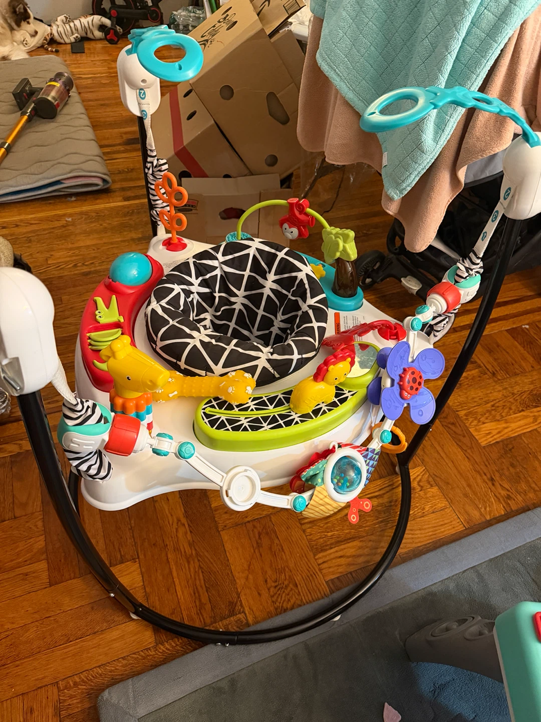 Fisher-Price Baby Jumper