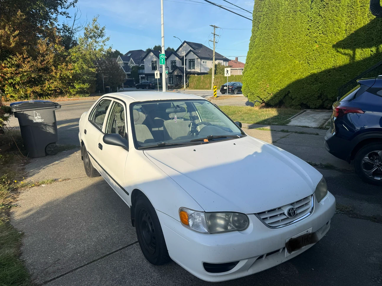 White Toyota Corolla Sedan - photo 5