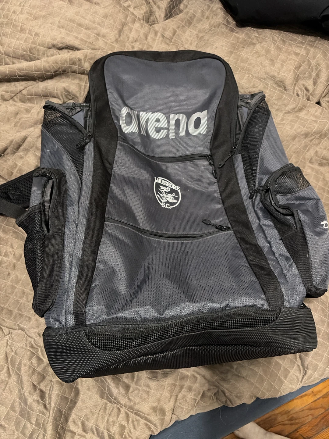Arena Lakeshore S.C. Swim Backpack