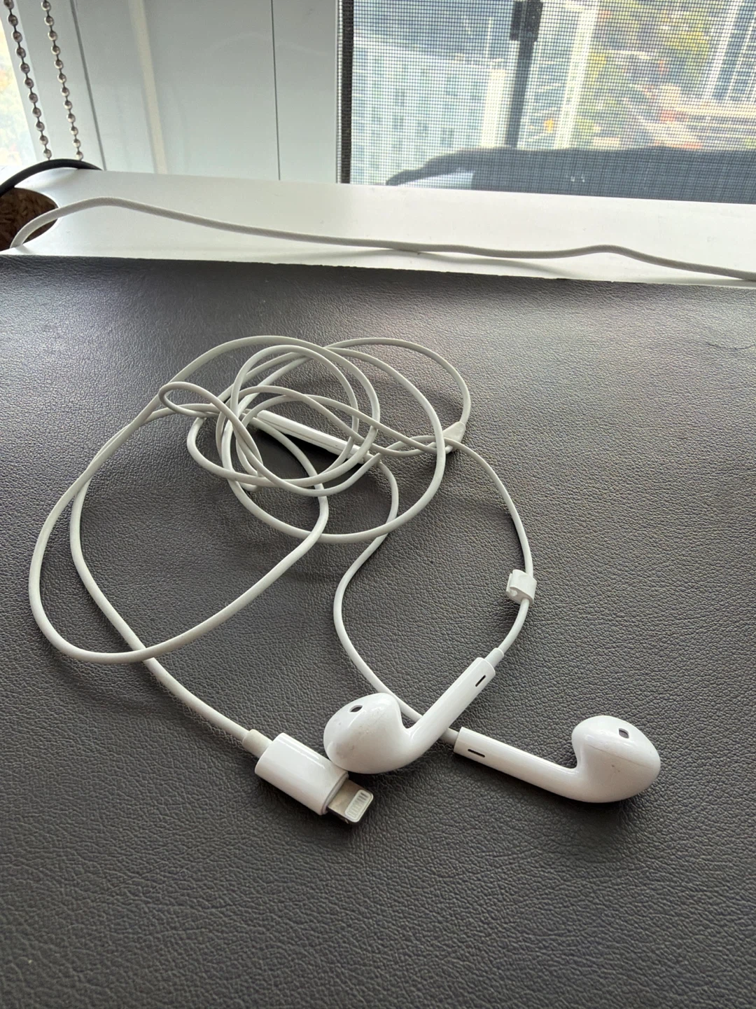Apple EarPods with Lightning Connector