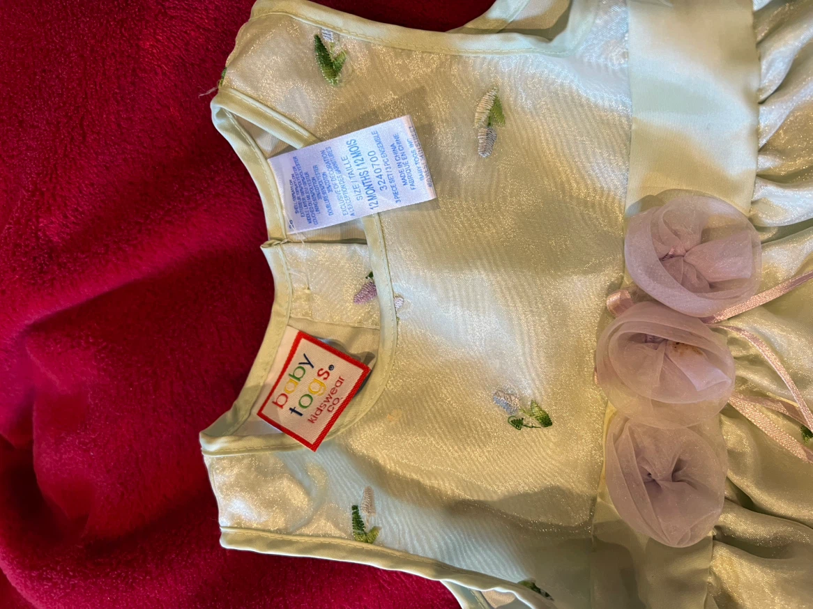 Baby Togs Floral Dress - 12 Months