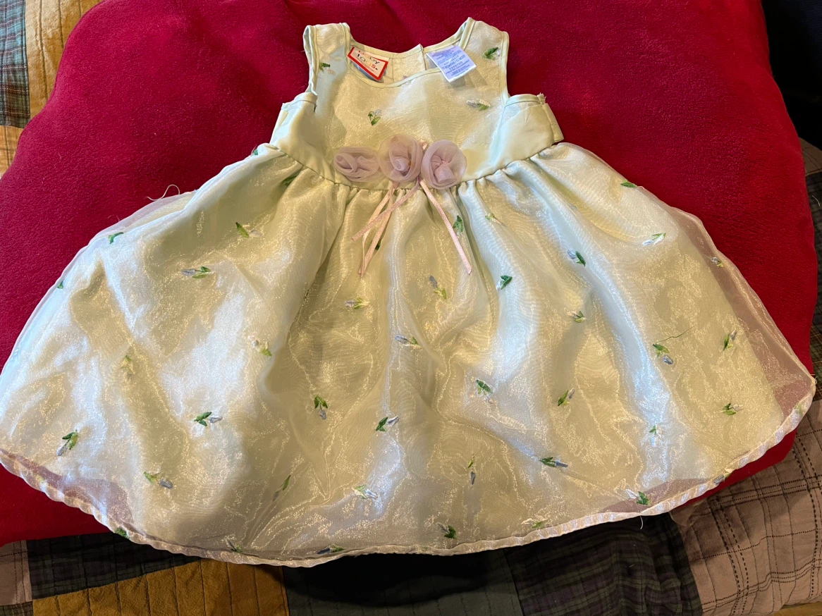 Baby Togs Floral Dress - 12 Months - photo 2