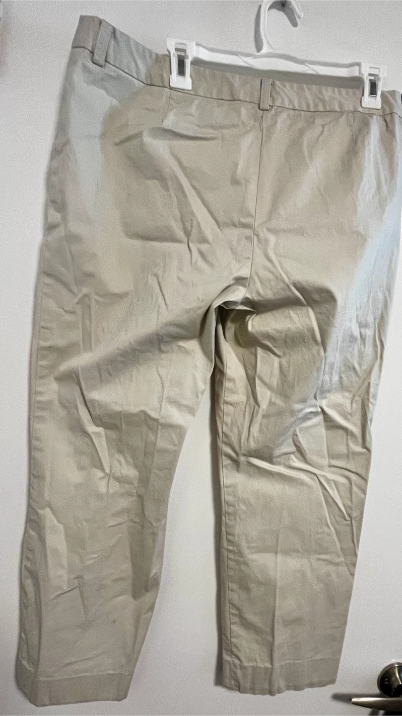 Jones New York Signature Tan Stretch Pants Size 14 - photo 4