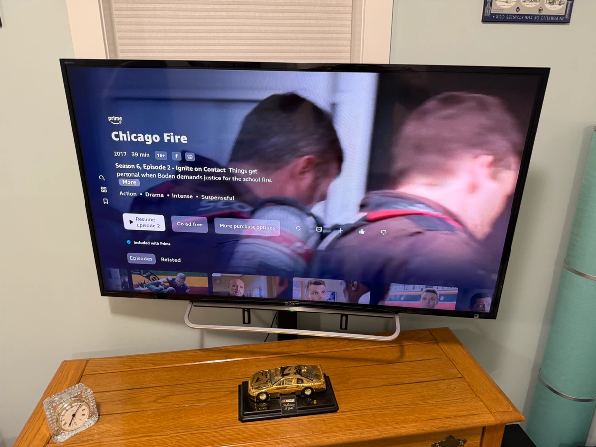 Sony BRAVIA 48" Smart TV