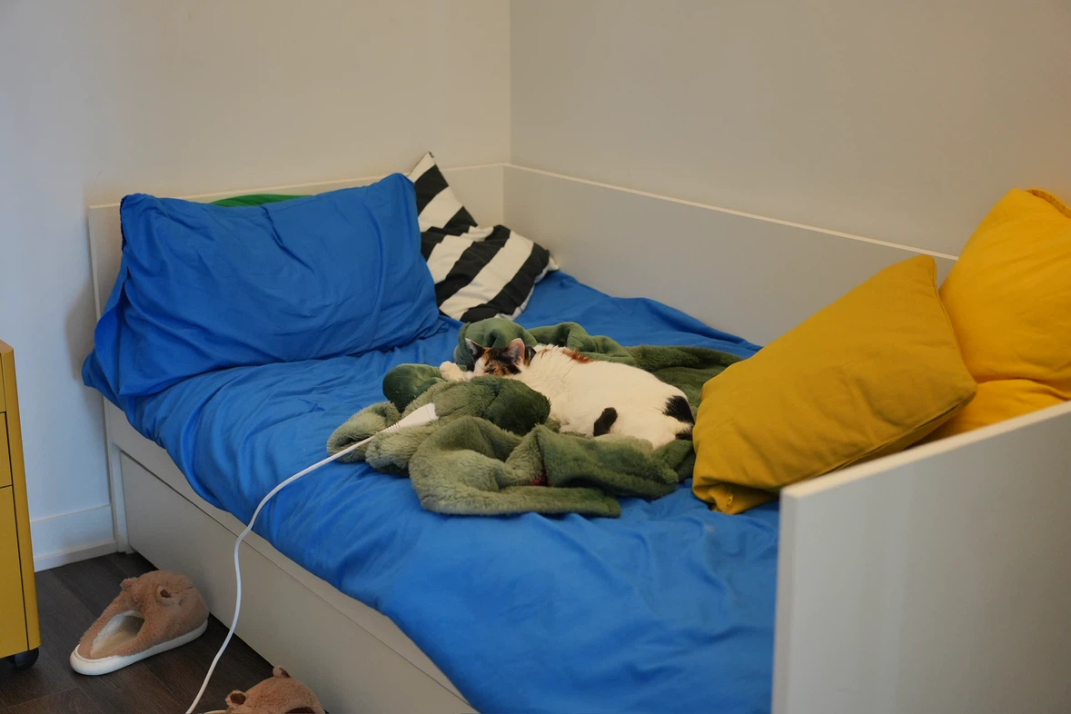 IKEA VIHALS Daybed with Pull-Out Bed,Free Bedding - photo 3
