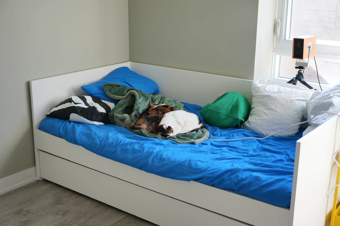 IKEA VIHALS Daybed with Pull-Out Bed,Free Bedding