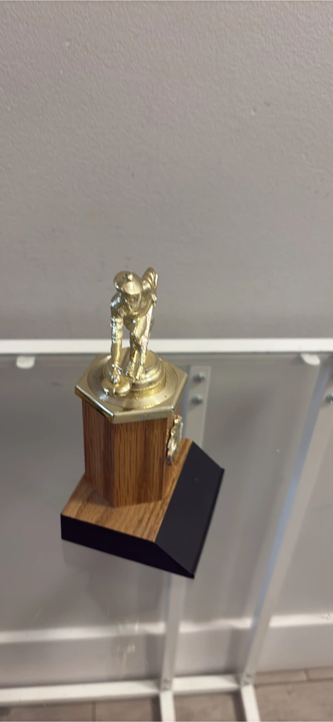 Vintage Ball Hockey Trophies - photo 4