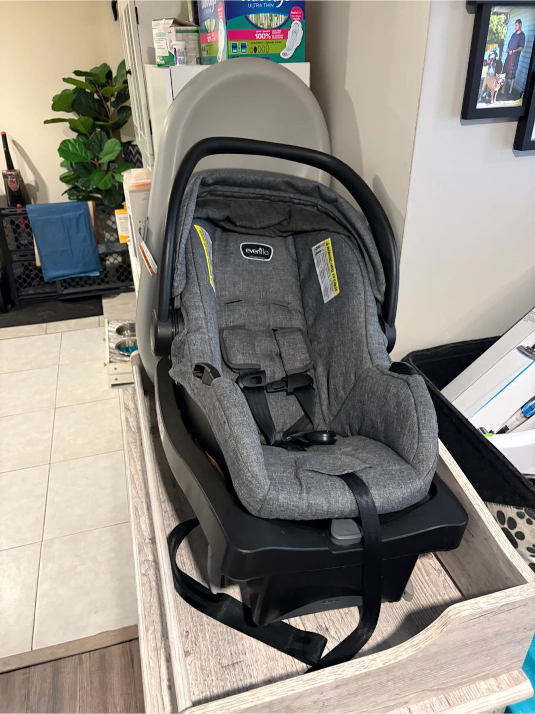 Evenflo Infant Car Seat