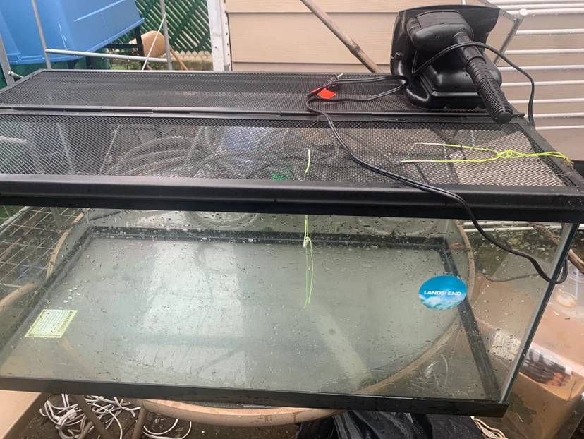 Glass Terrarium Tank with Mesh Lid