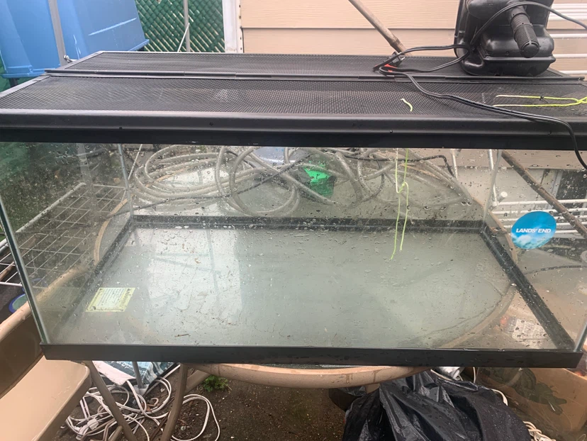 Glass Terrarium Tank with Mesh Lid - photo 3