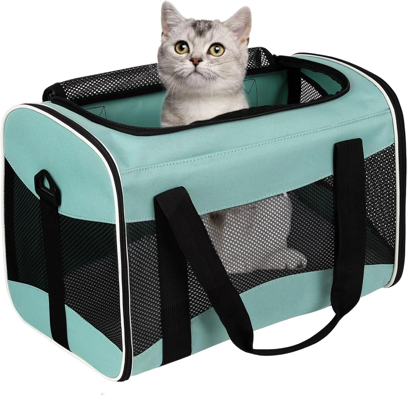 Brand new carrier for pets up to 15 pounds