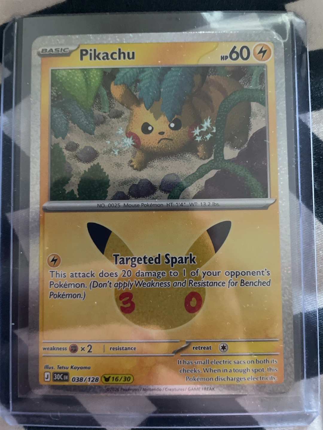 Pokemon 25th Anniversary Collection Card Lot - photo 4