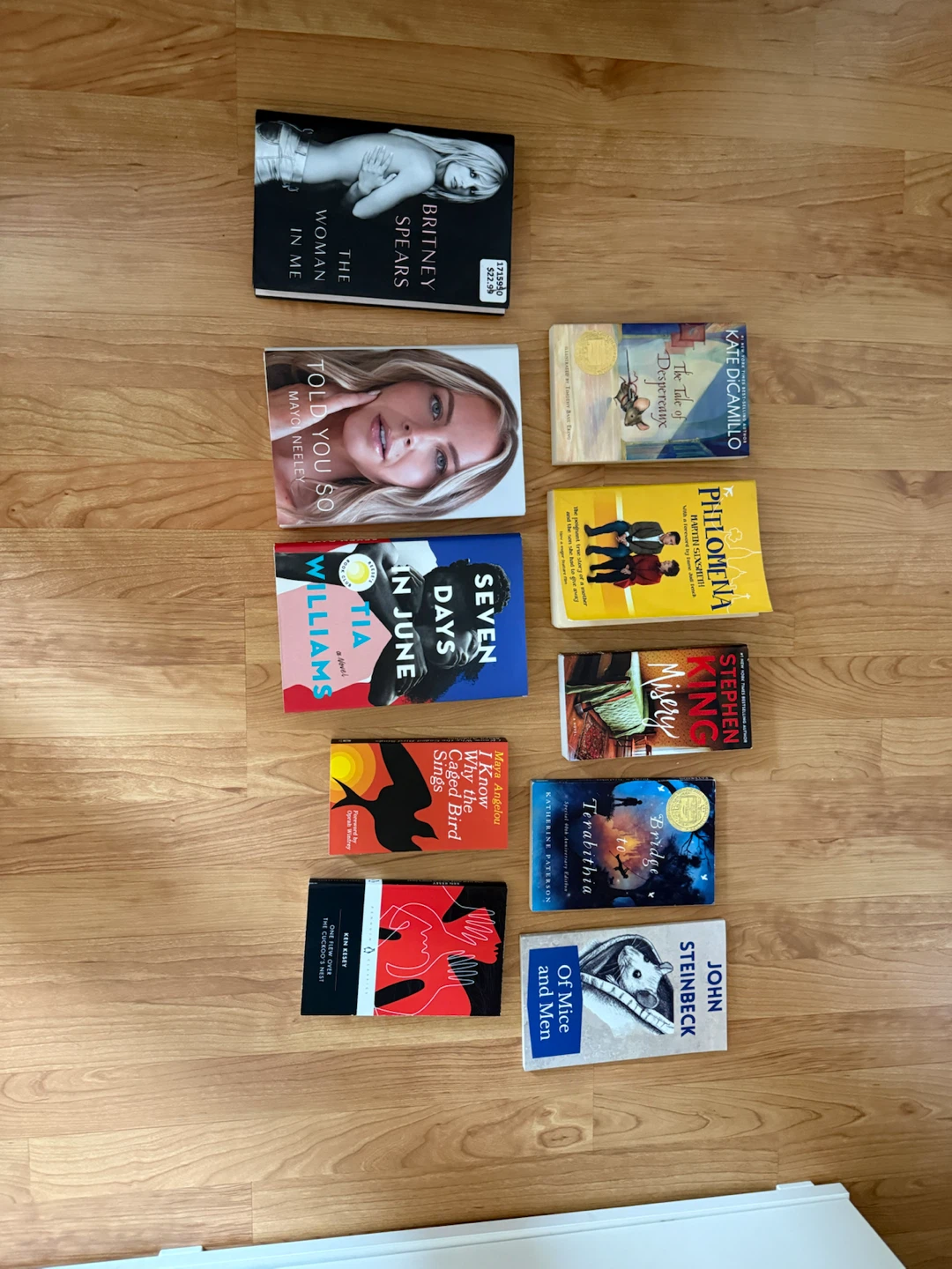 Collection of 10 Assorted Novels