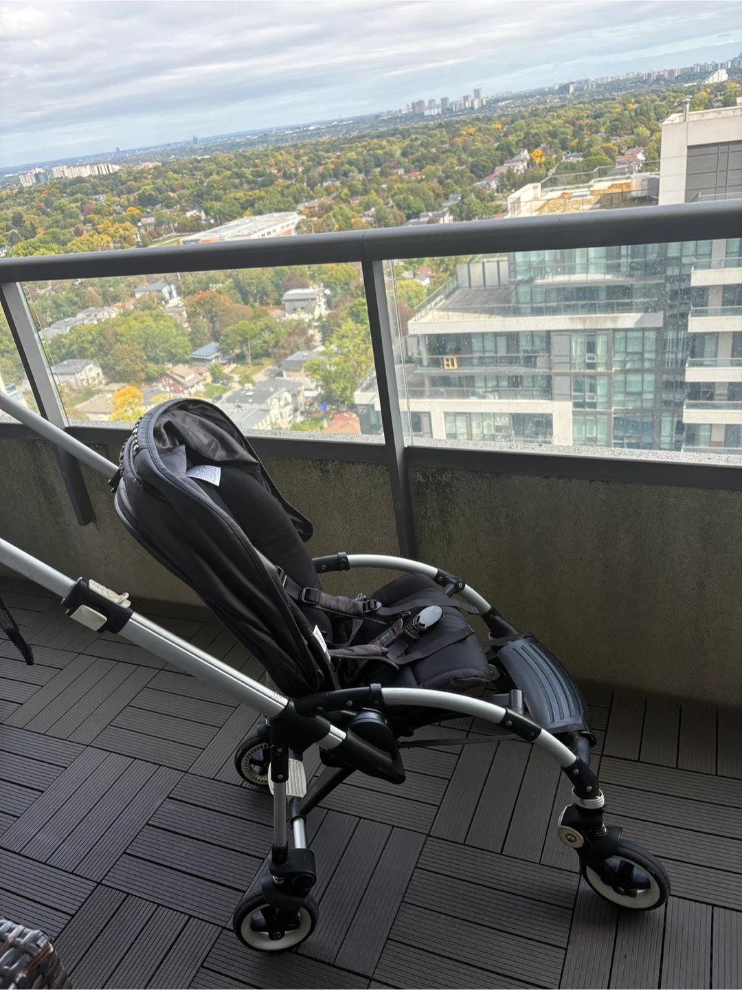 Bugaboo Bee Stroller - photo 4