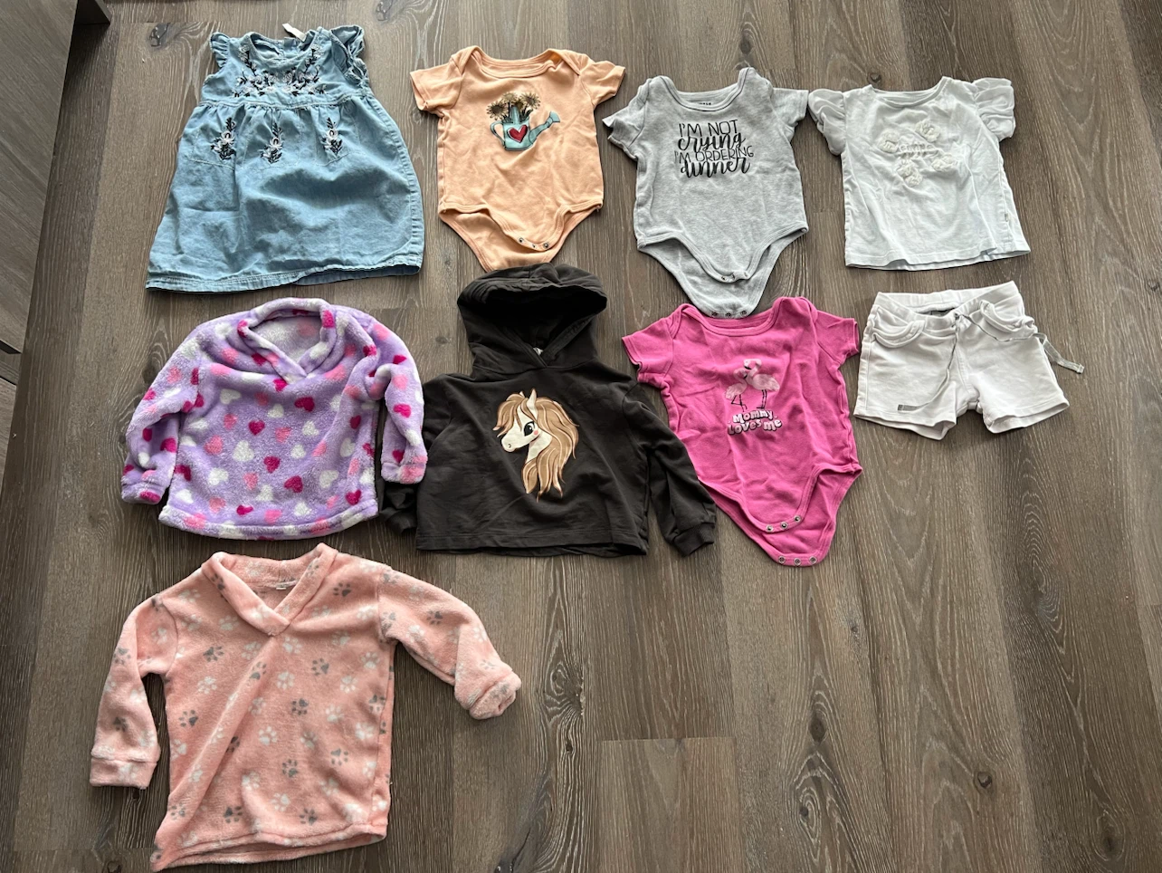Toddler Girl Clothing Bundle
