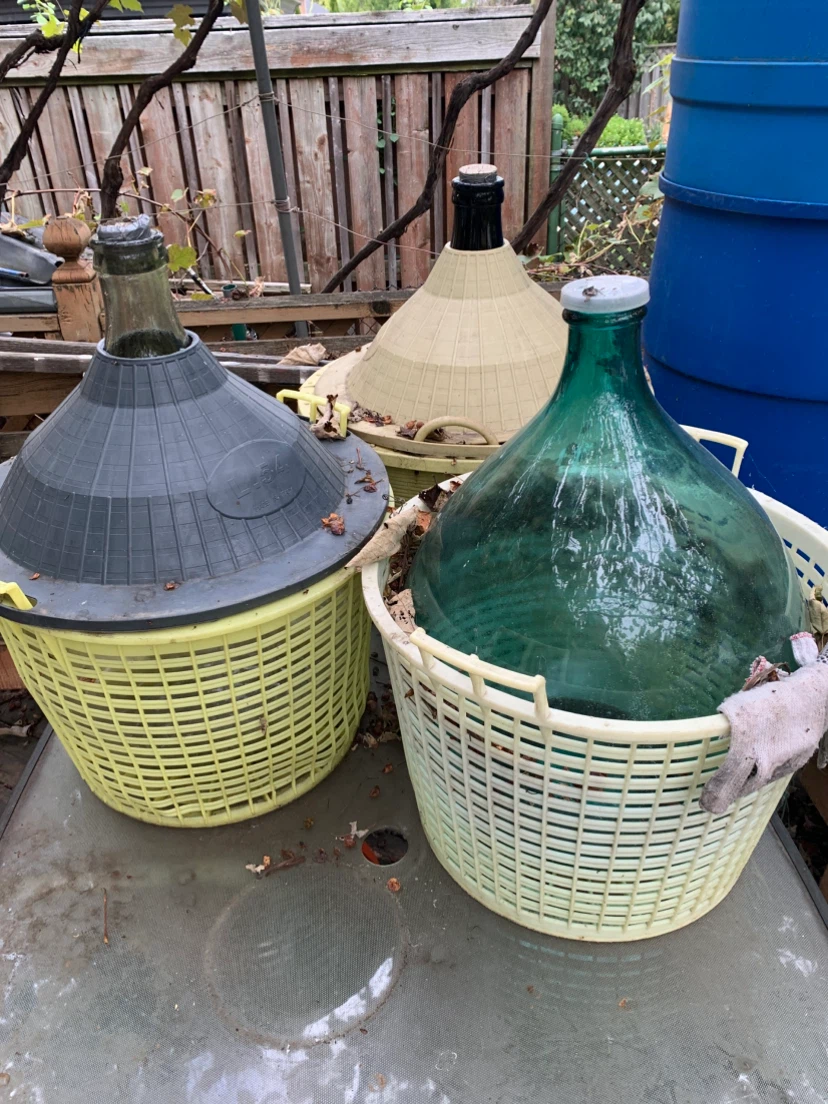 54 Litre Demijhons 3 in total all in plastic cases!