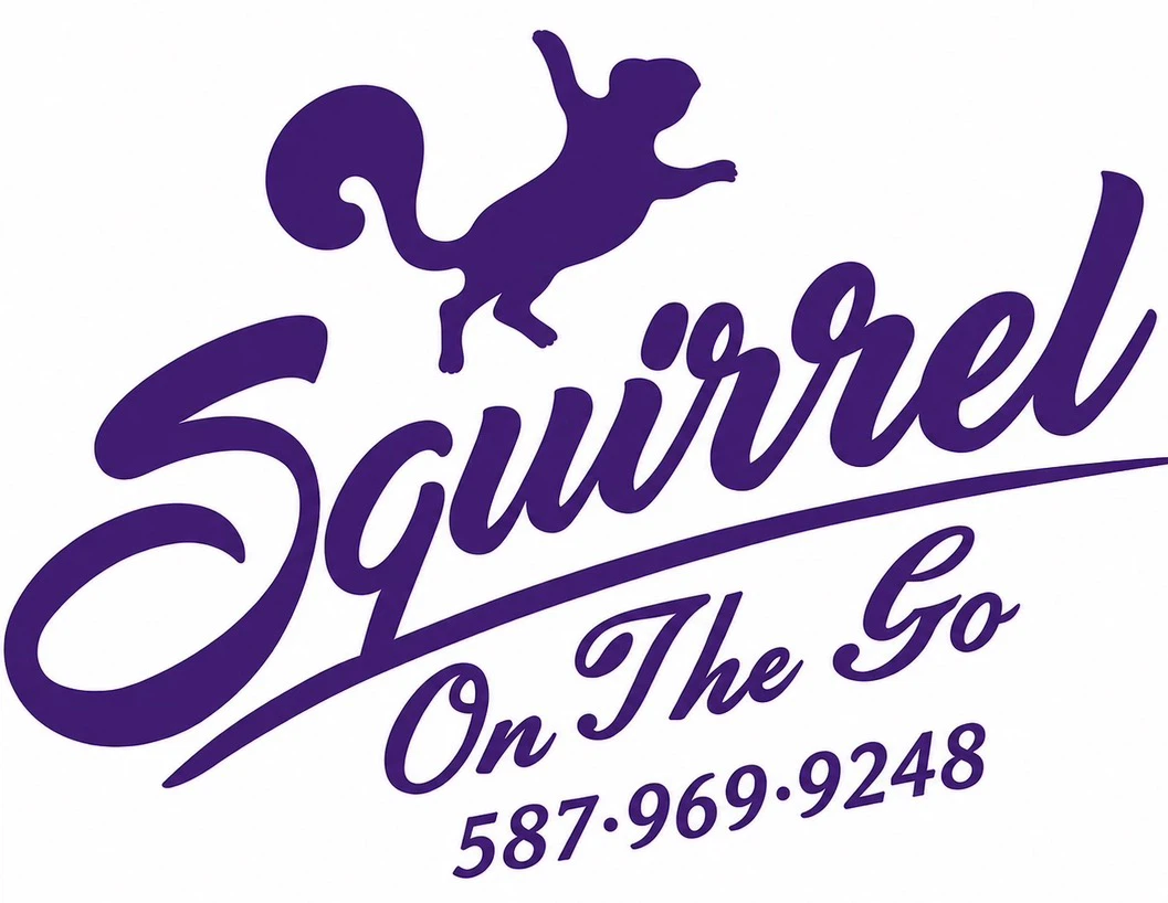 Lawn Care/Fall Clean-ups/Snow Removal