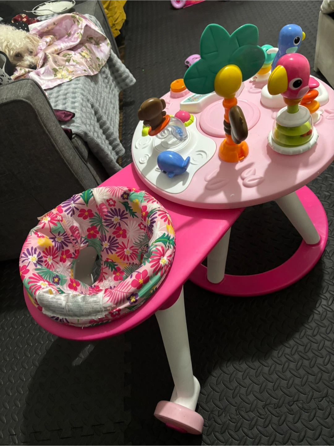 Baby Activity Center with Seat