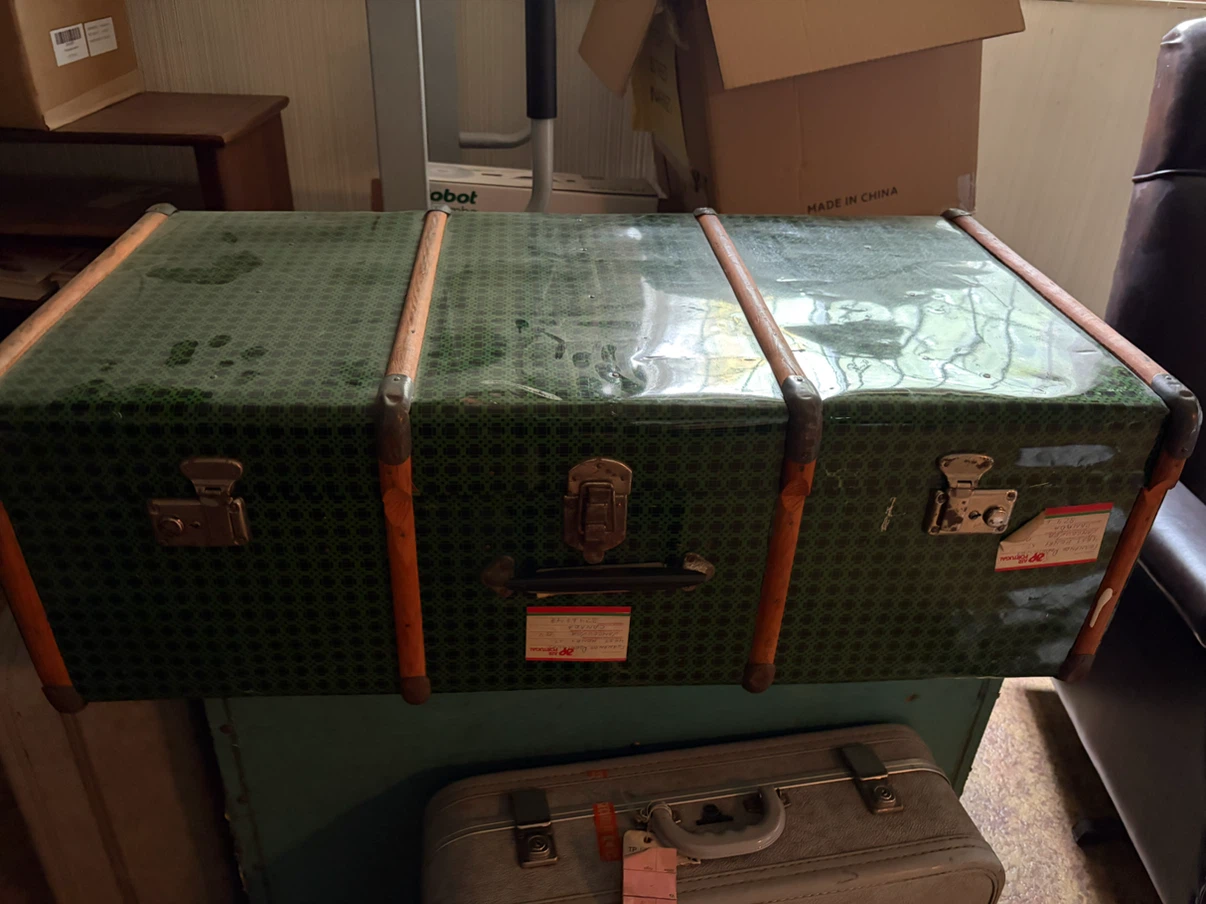 Vintage Green Patterned Storage Trunk