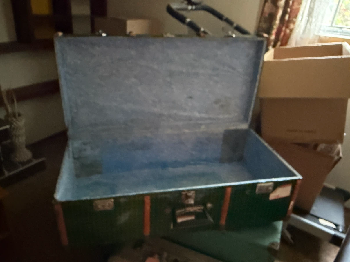 Vintage Green Patterned Storage Trunk - photo 2