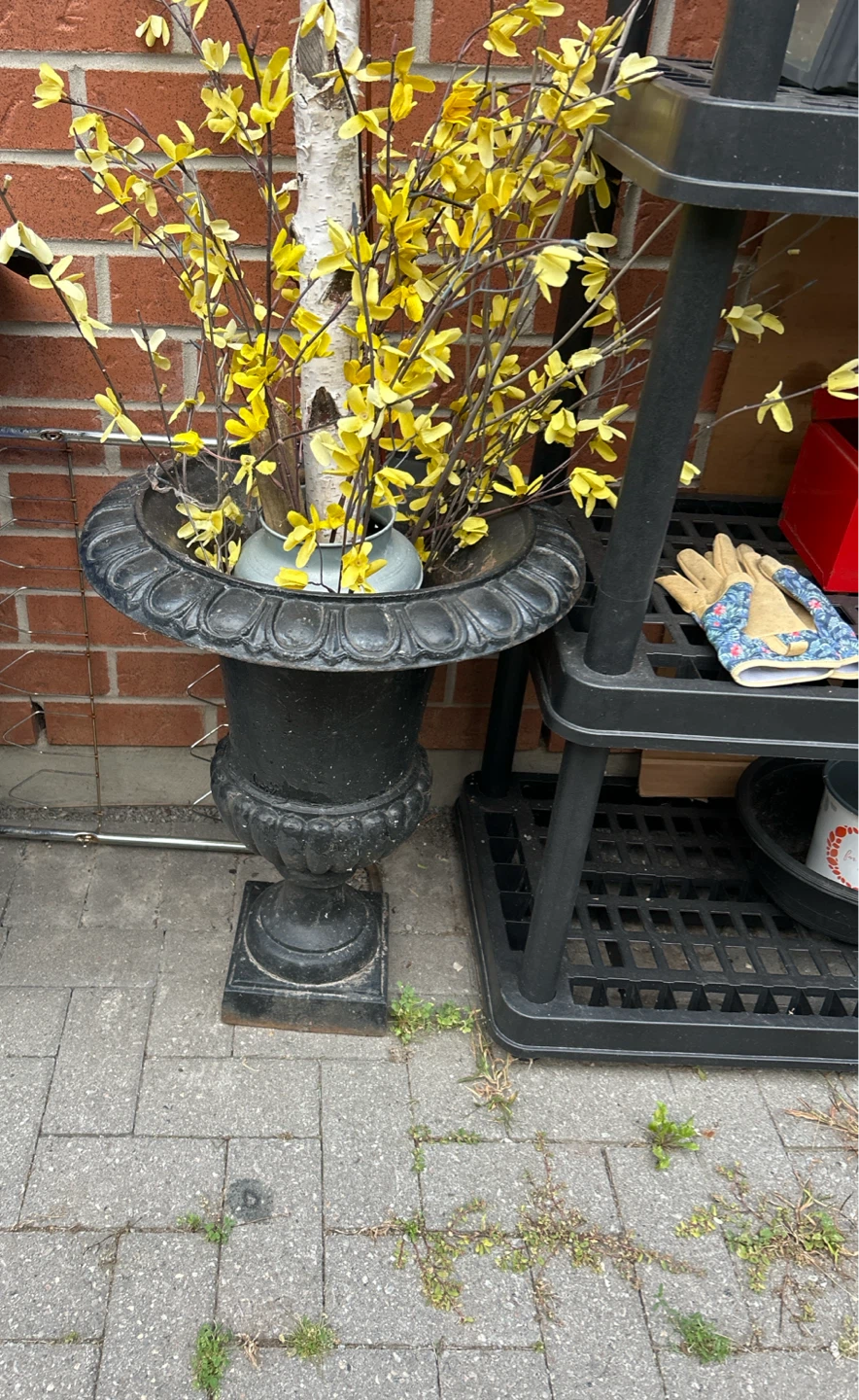 Black Decorative Wrought Iron Urn Planter with Birch Pole