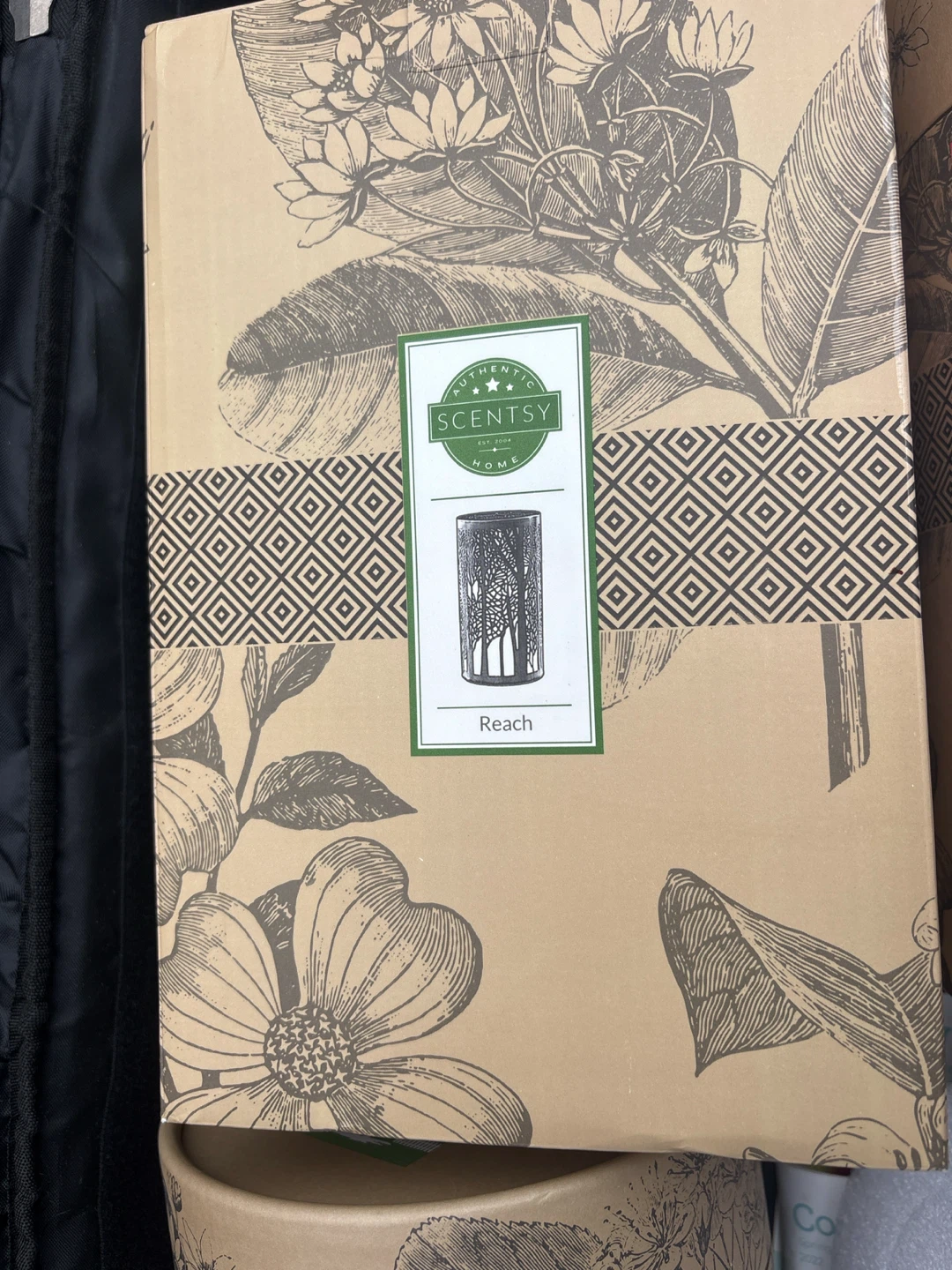 Scentsy Reach diffuser