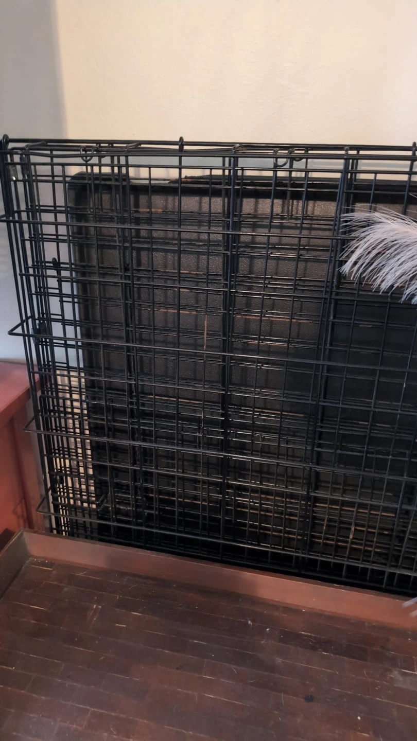 XL Collapsible Black Metal Pet Crate