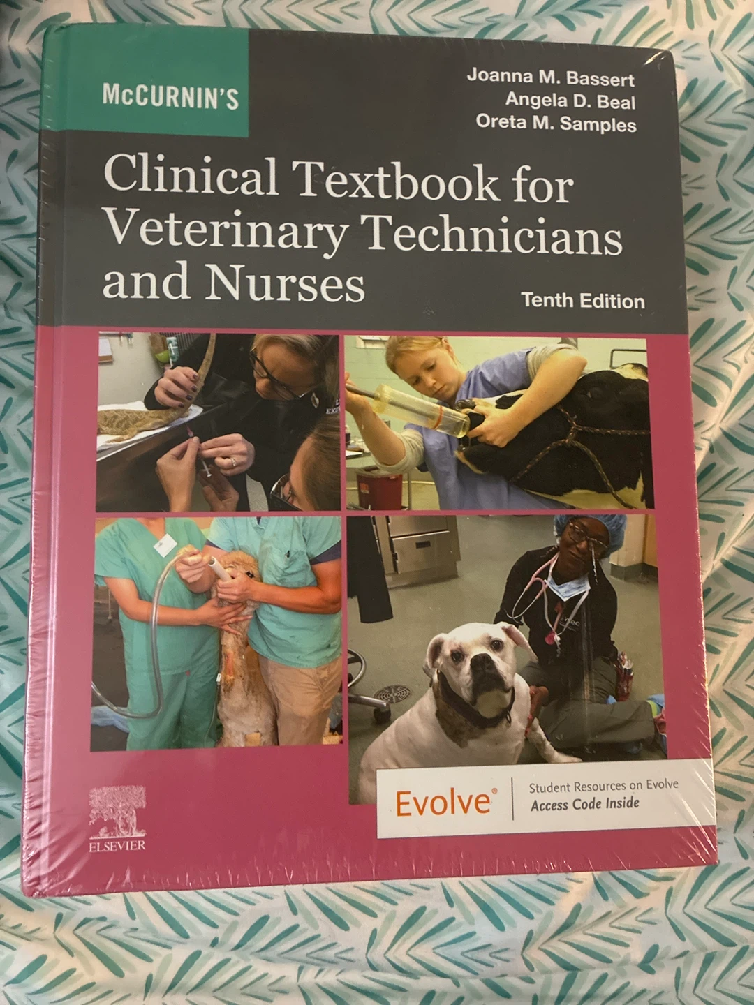 McCurnin's Clinical Textbook for Veterinary Techs, 10th Ed