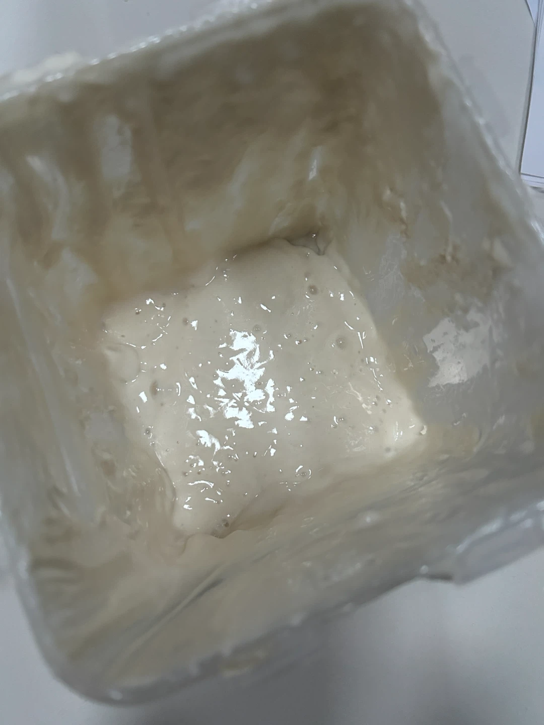 Box of active sourdough (keeps growing)