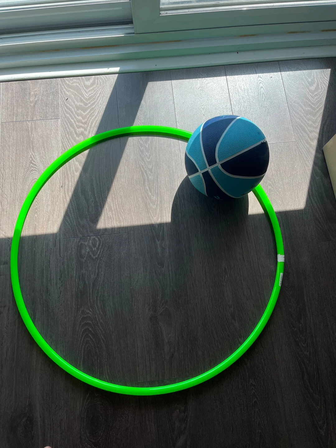 Basketball + Hula Hoop - photo 3