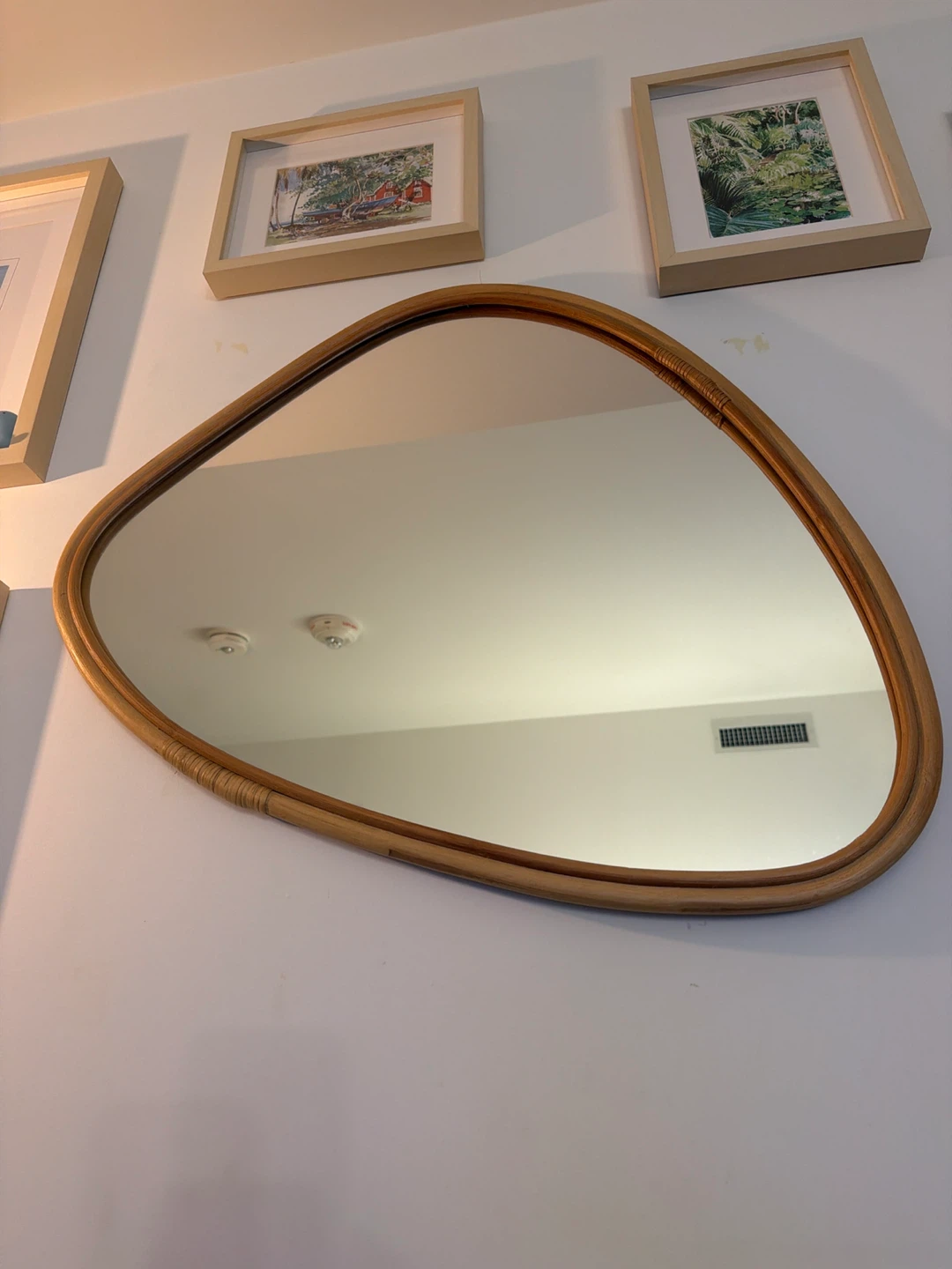 Organic Shaped Wall Mirror