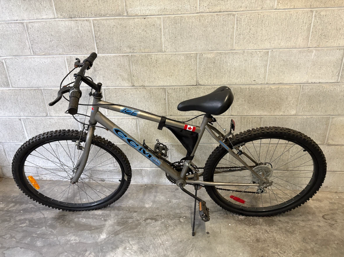 CCM Ice Mountain Bike