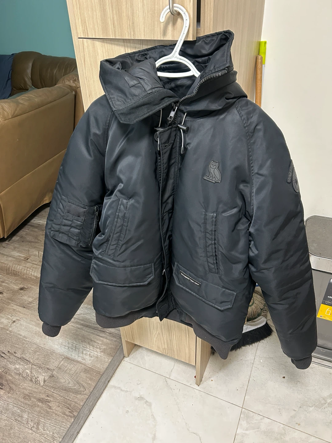 Canada goose