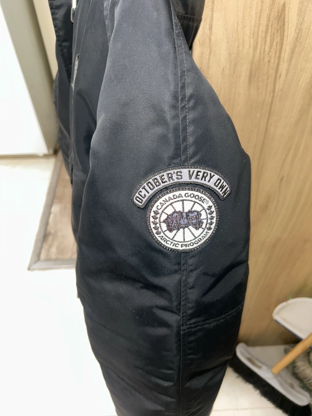 Canada goose - photo 2