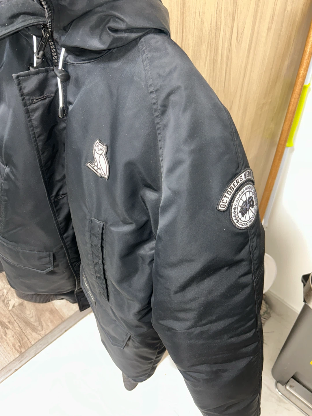 Canada goose - photo 3