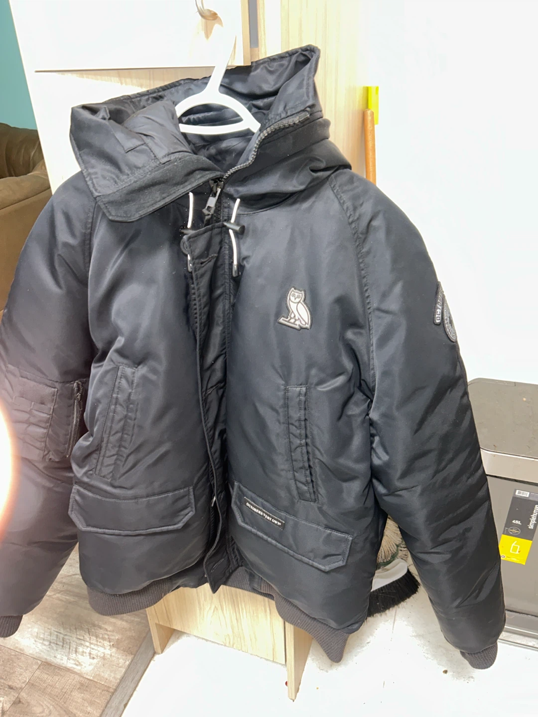 Canada goose - photo 4
