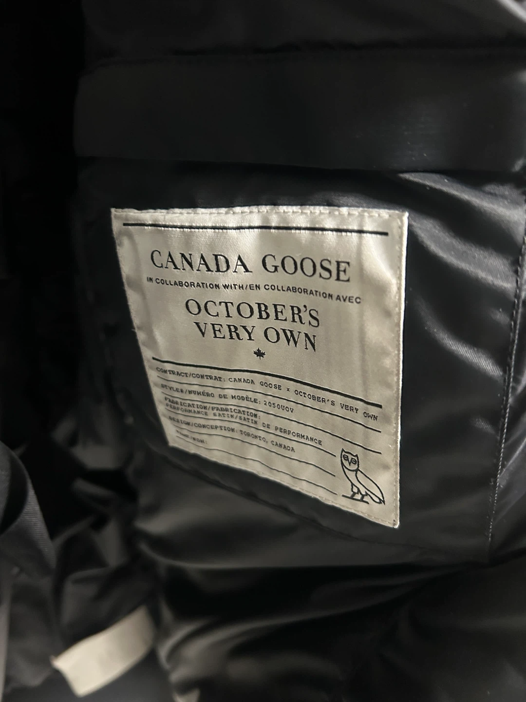 Canada goose - photo 5