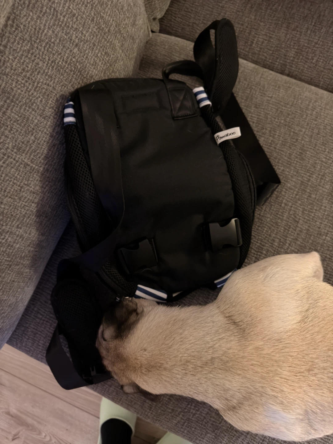 Pawaboo Pet Carrier Backpack - photo 3