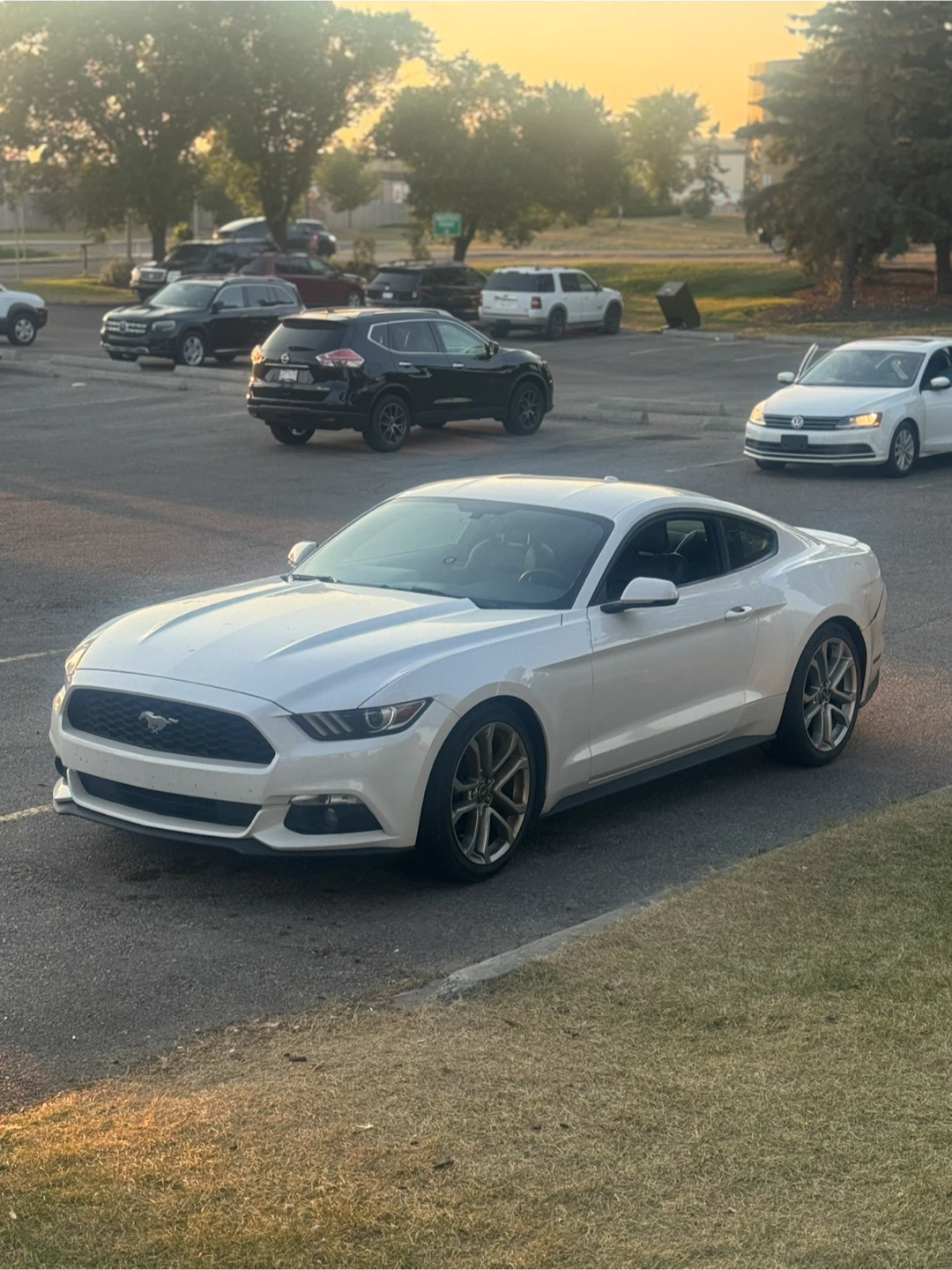 Ford Mustang Coupe - photo 4