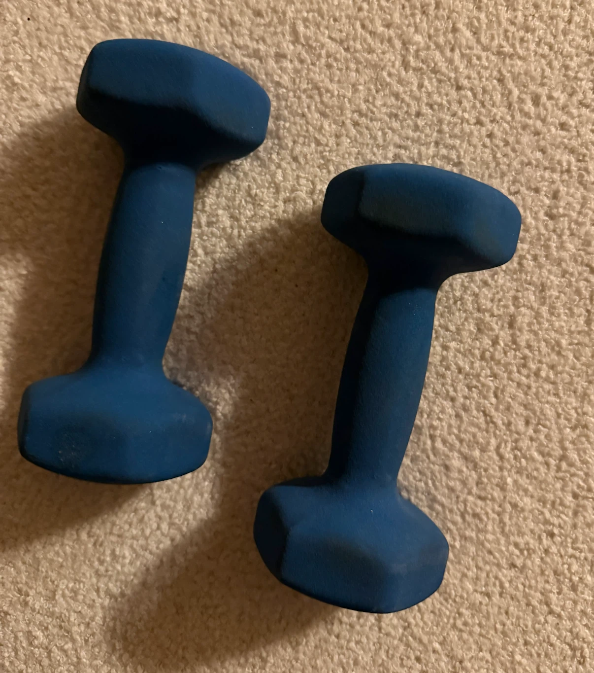Pair of Northern Lights 5lb Dumbbells - photo 3