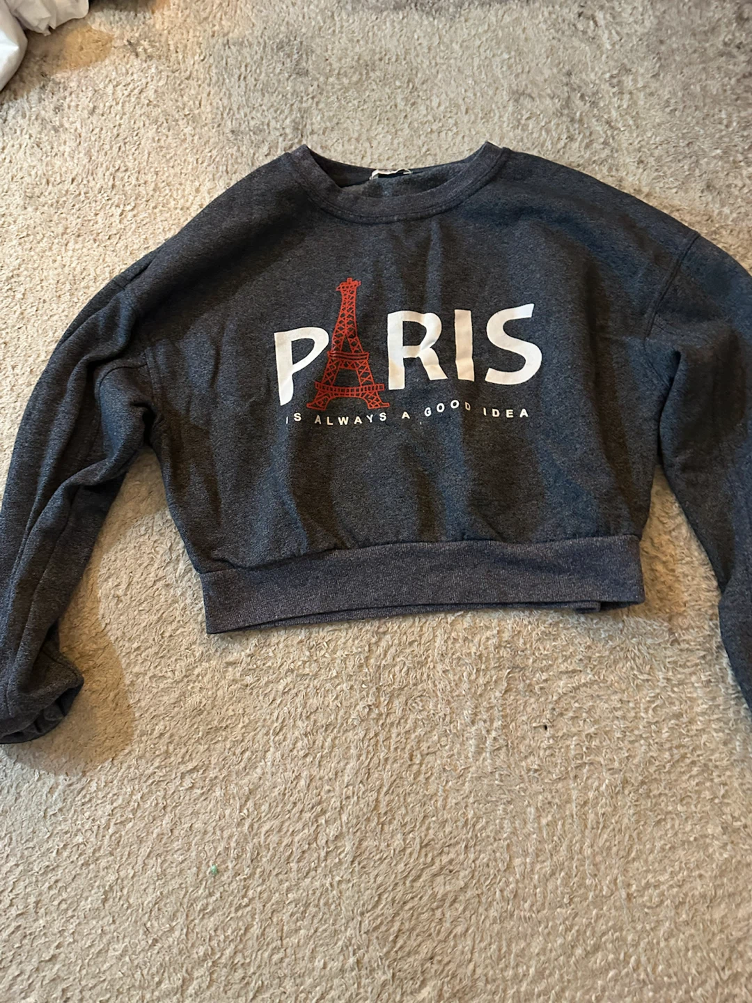 2 Paris Graphic Cropped Sweatshirt one medium and one large