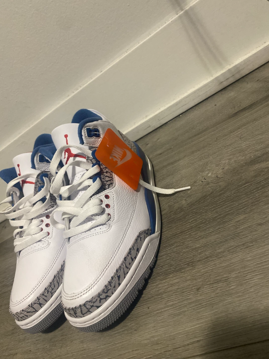 Air Jordan 3 Retro True Blue