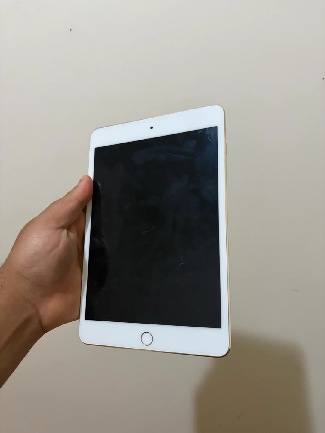 iPad mini 4