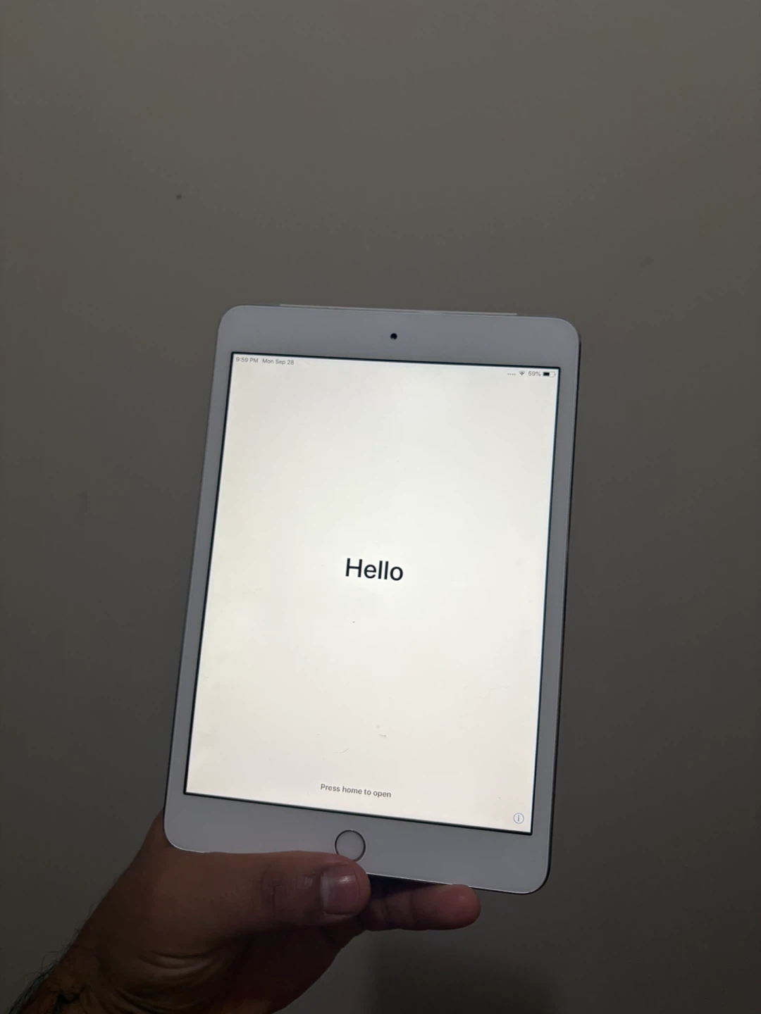 Apple iPad mini Silver