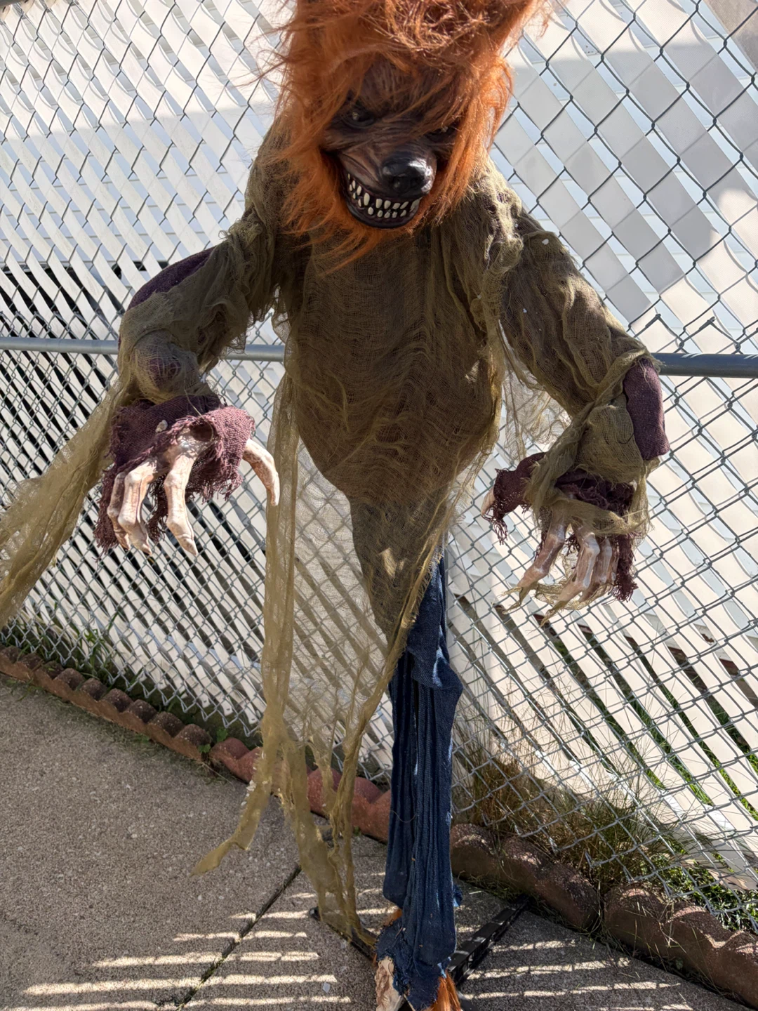 Halloween Werewolf Decoration